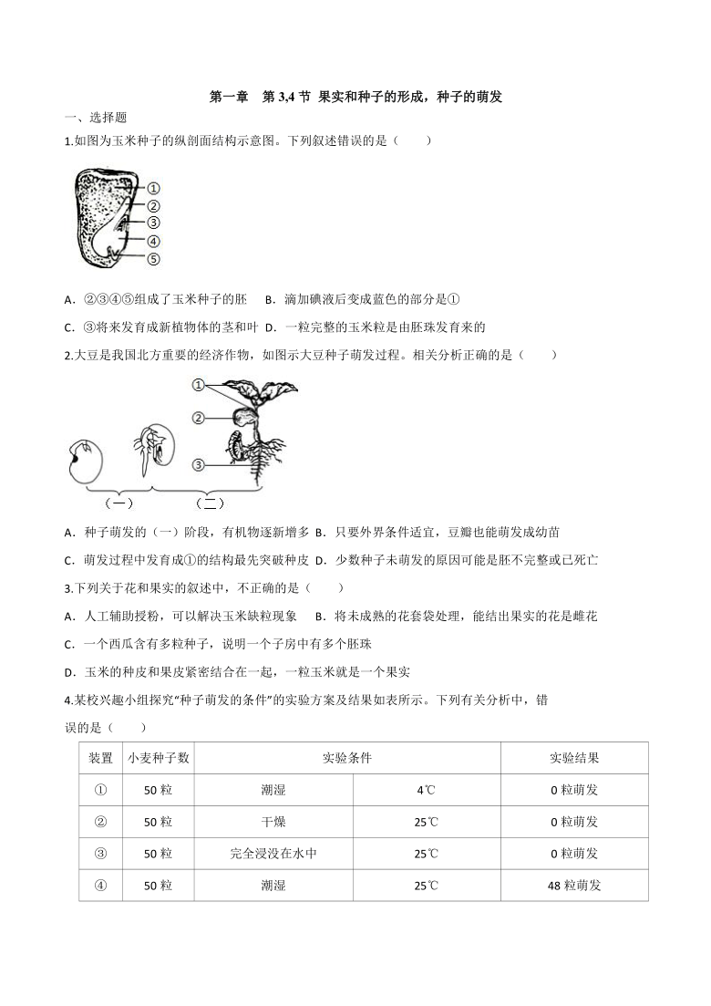 济南版八年级上册生物1.3~1.4 果实和种子的形成，种子的萌发 同步练习 (word版含解析）