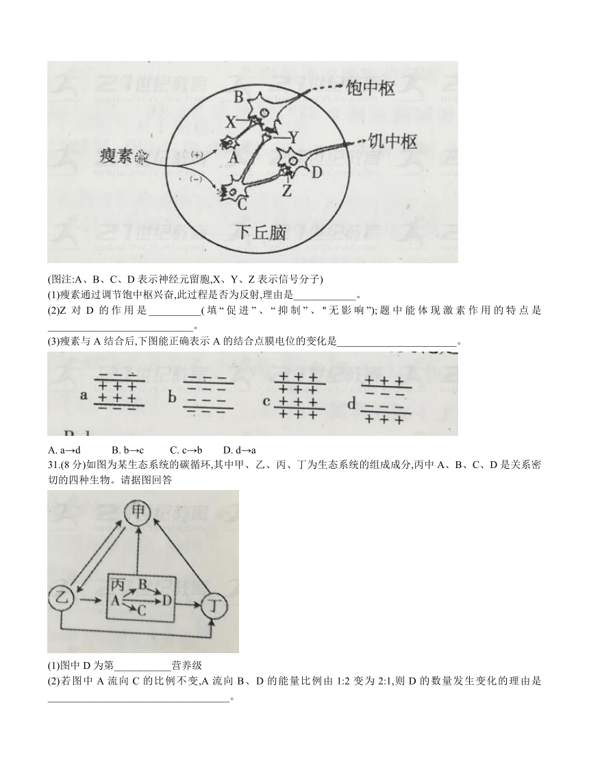 湖南省衡阳市2018届高三第一次联考（一模）理综生物