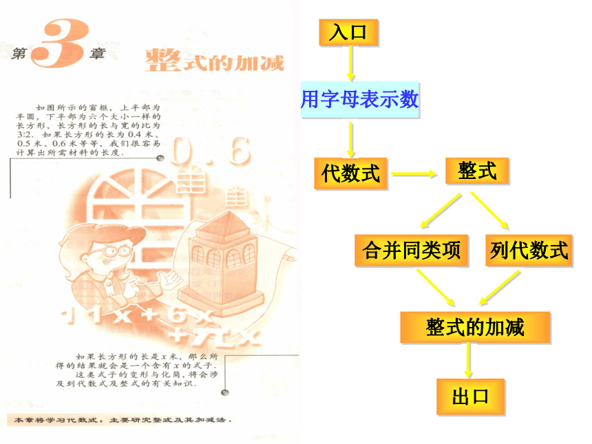 华师大版数学七年级上册代数式课件