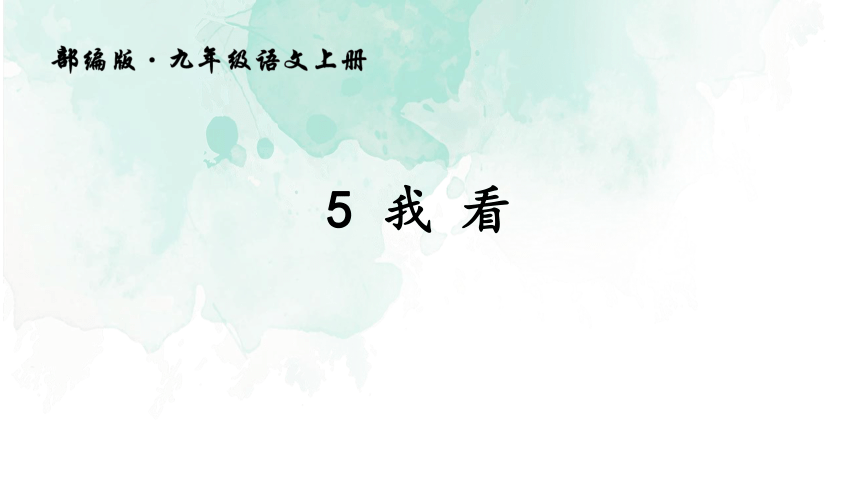 九年级上册(2018部编）5《我看》课件