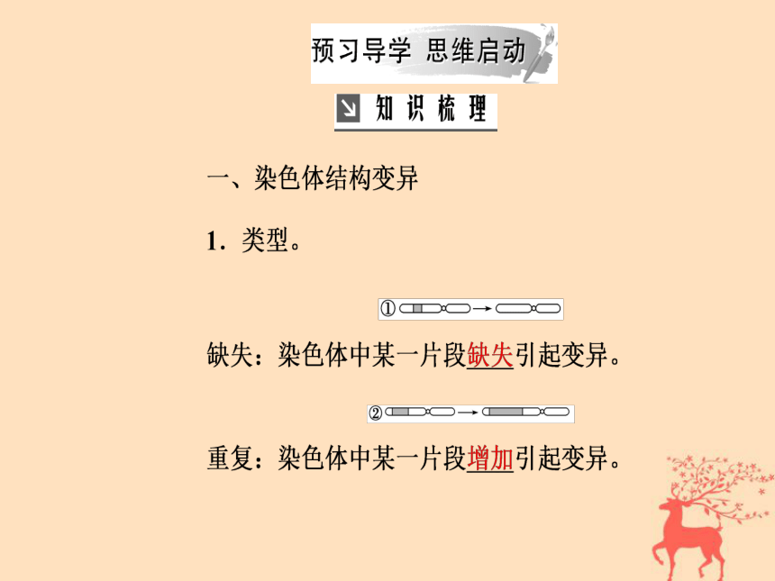 2018年秋高中生物新人教版必修2第五章基因突变及其他变异第2节染色体变异课件(89张PPT)