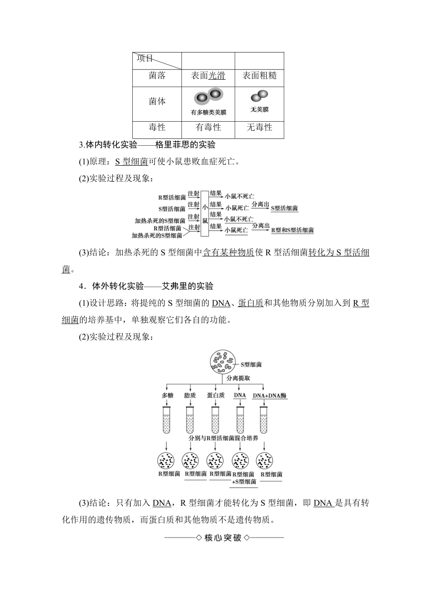 2016-2017学年高一生物必修二检测：第3单元第1章第1节遗传物质的发现（中图版）(含解析)