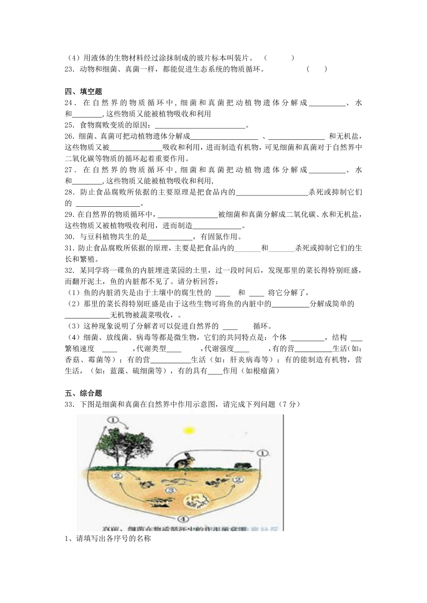 2013-2014学年度生物中考二轮复习专题卷--细菌和真菌在自然界中的作用