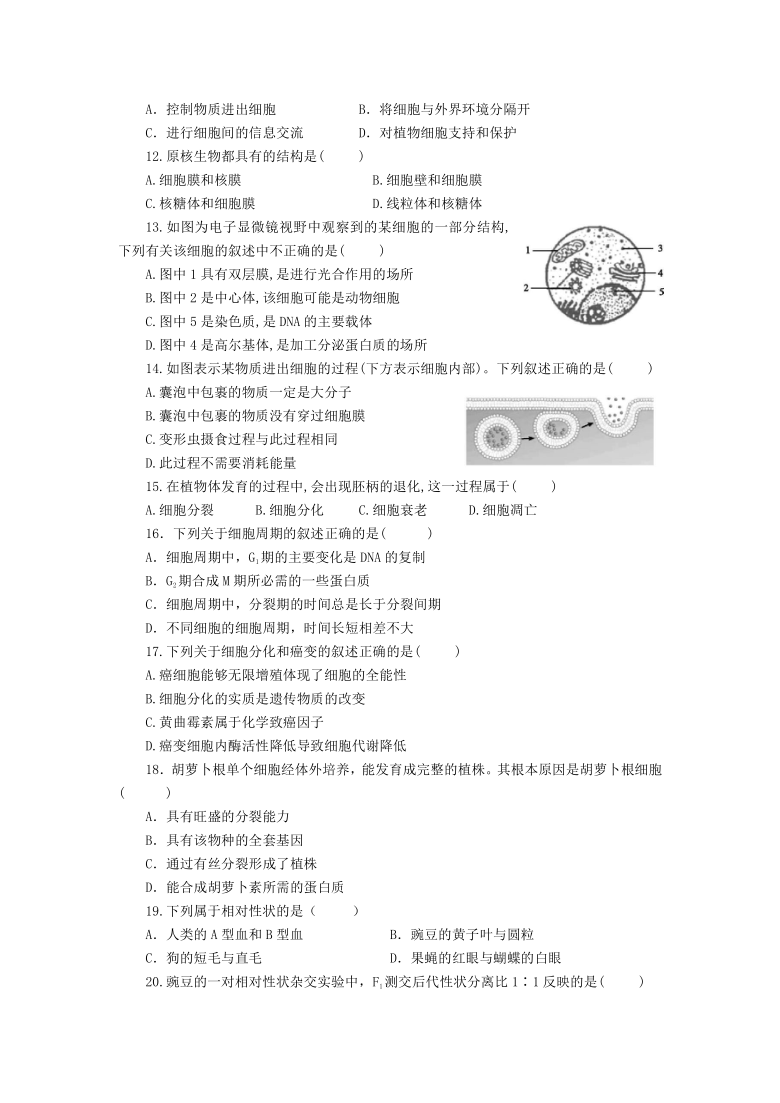 浙江省山河联盟学校2020-2021学年高一下学期4月月考生物试卷    含答案