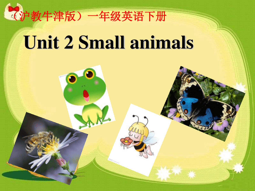 牛津上海(绿色上教版)一年级下册Unit 2 Small animals Let's learn 课件