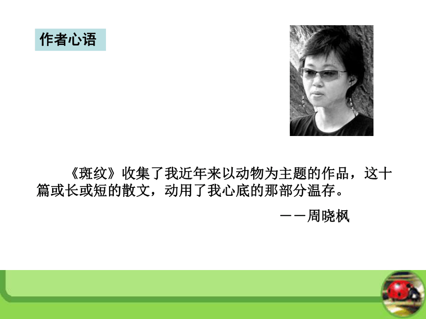 2016春高中语文（苏教版必修五）教学课件：第一专题《斑纹》（共37张PPT）