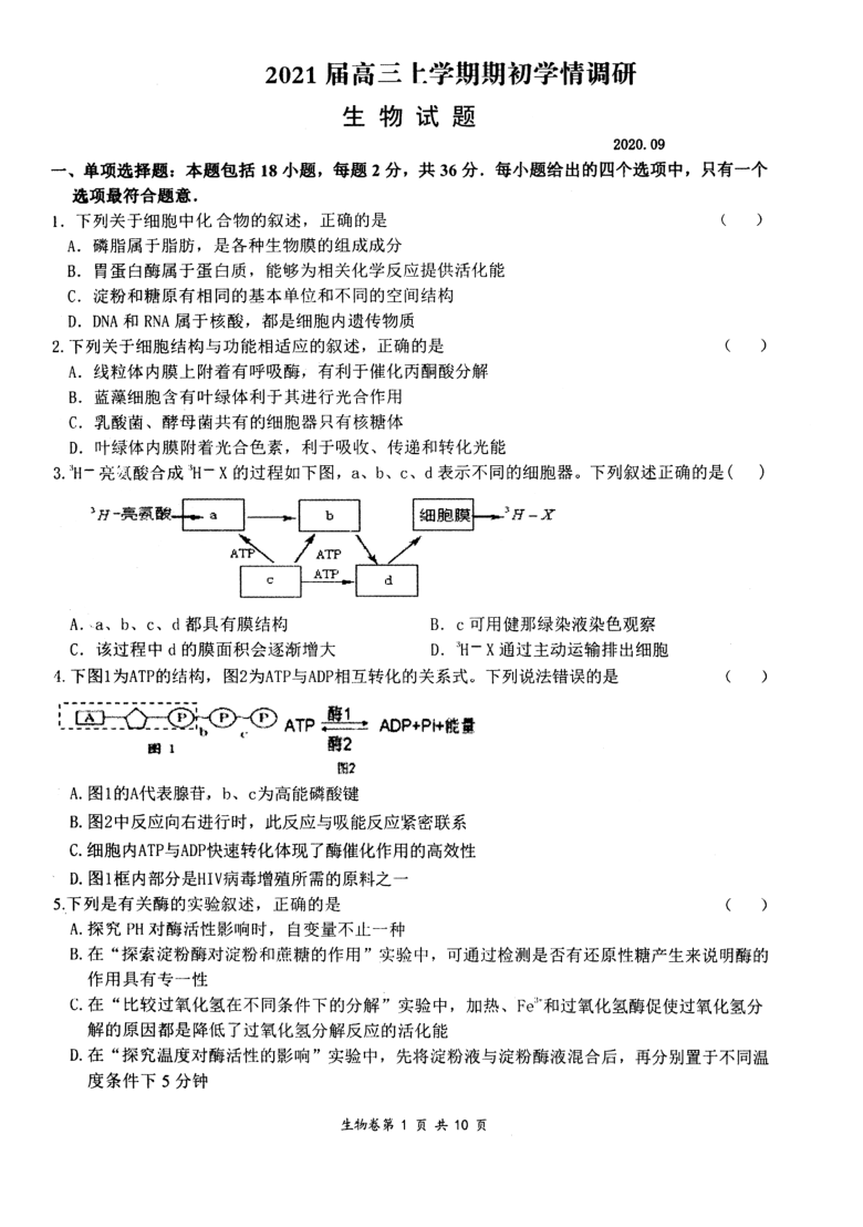 江苏省扬州市2021届高三上学期期初学情调研生物试题 图片版含答案
