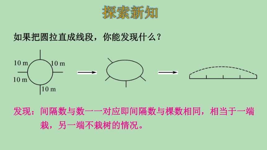 人教版数学五年级上册7.1数学广角—— 植树问题（2） 课件(共24张PPT)