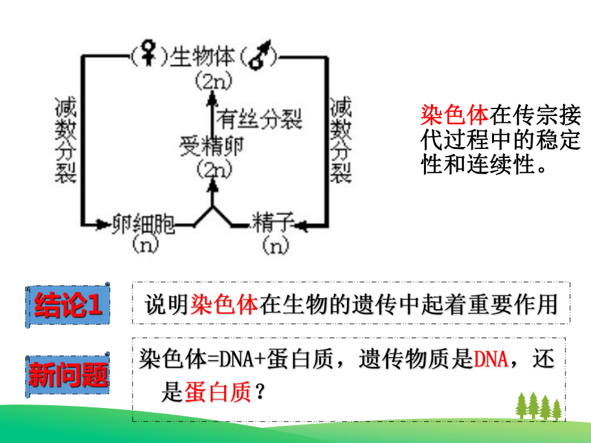 吉林省辽源普高 必修2 第三章第1节DNA是主要的遗传物质 课件（21张）