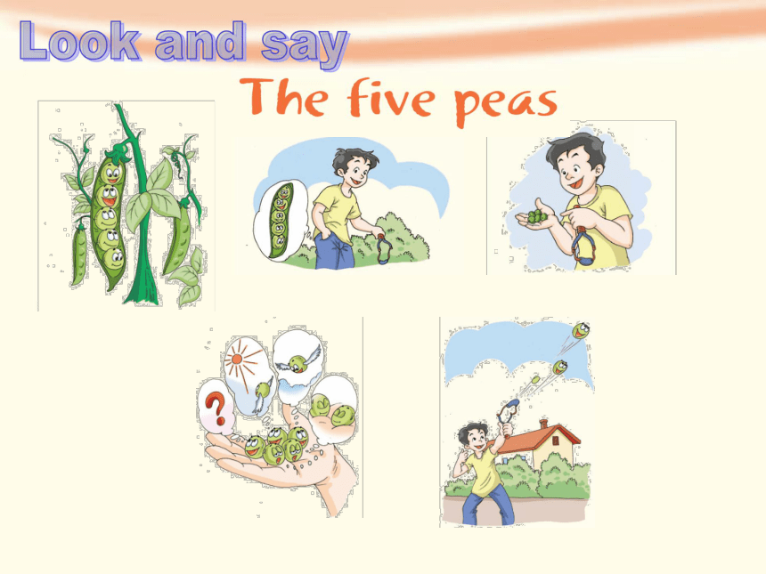 Unit 12 The five peas 第三课时课件