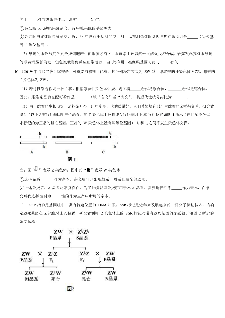 2021北京生物高考一轮复习练习 第5部分 基因的传递规律 考点3 伴性遗传与人类遗传病  Word版含答案