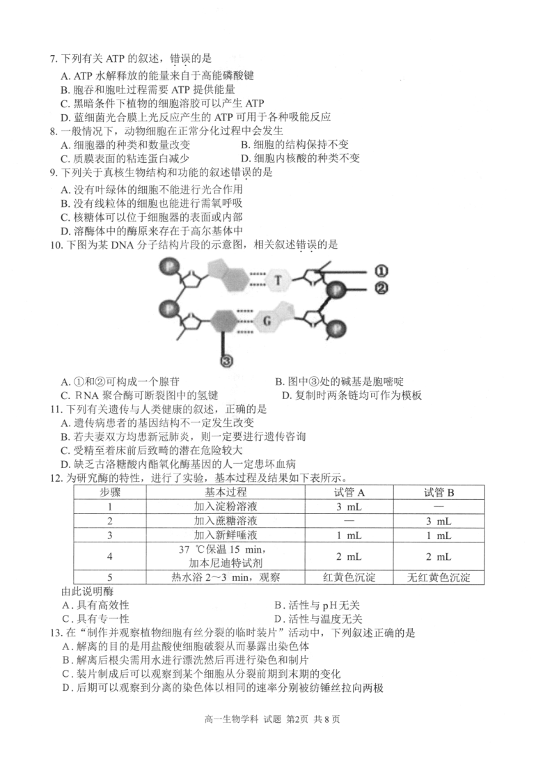 2019年第二学期浙江温州十五校联合体期末联考高一生物试题及答案