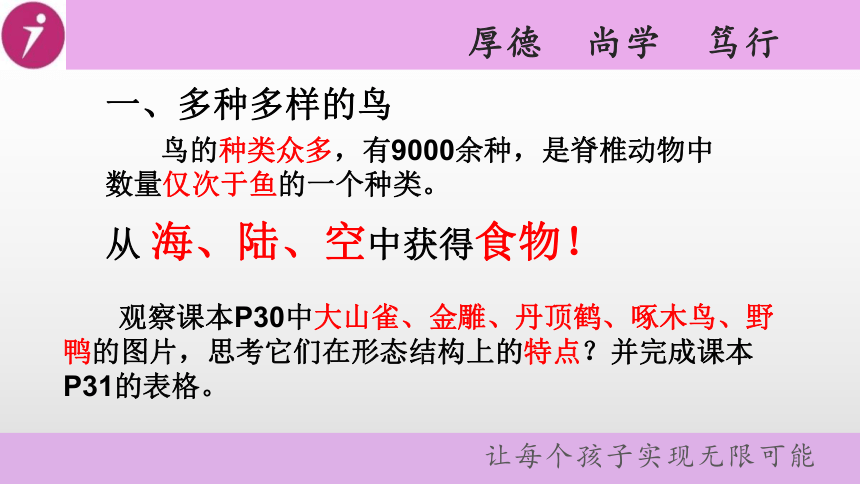 人教课标版初中生物八年级上册 第一章 动物的主要类群 第四节 鸟  课件（25张ppt）