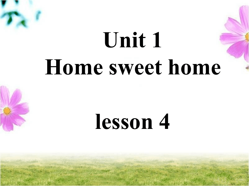 Unit 1 Home sweet home  Lesson 4 课件