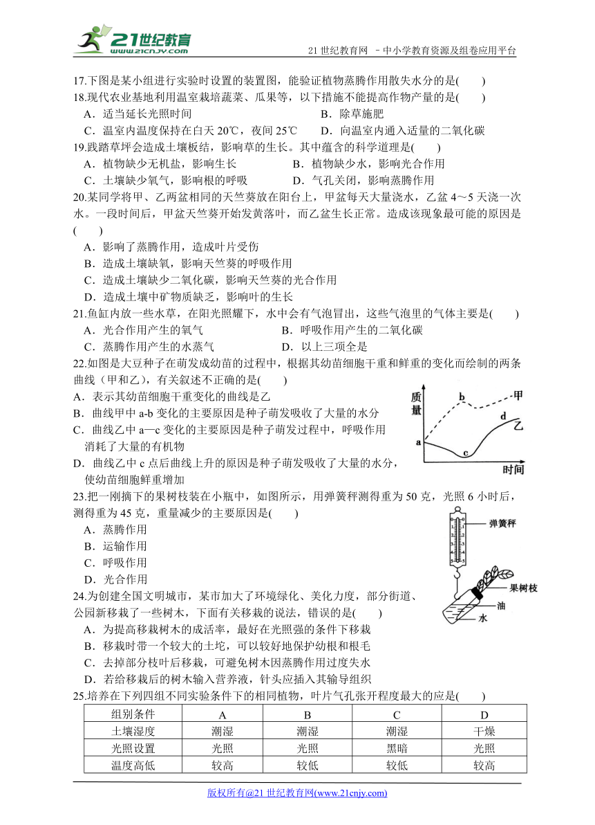 【济南版】七年级生物上  期中综合能力检测卷二（含答案）