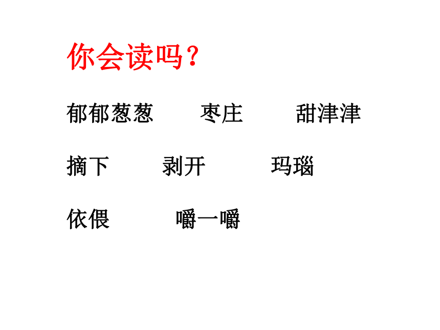 5 石榴课件