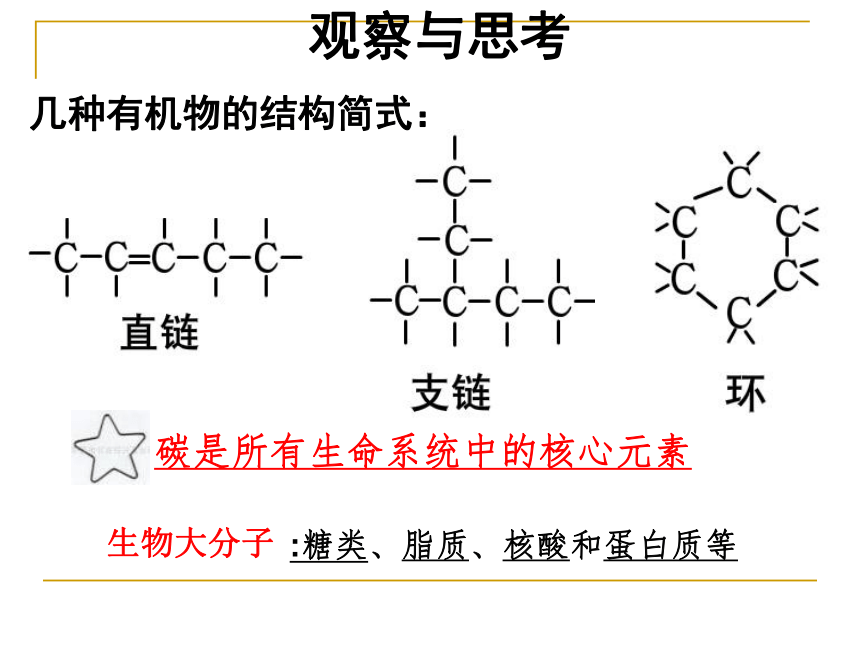 浙科版必修1第一章第三节有机化合物与生物大分子（共57张PPT）