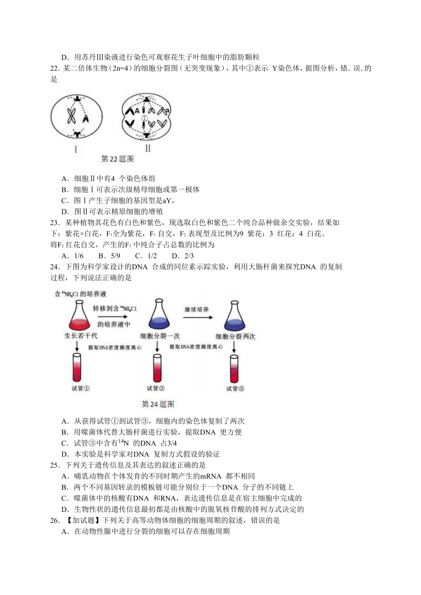 浙江省稽阳联谊学校2018届高三3月联考生物试题（含解析）