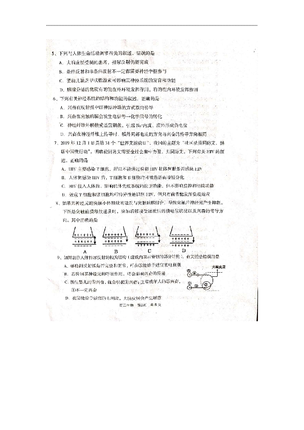 山西省孝义市2019-2020学年高二上学期期末考试生物试题（扫描版）