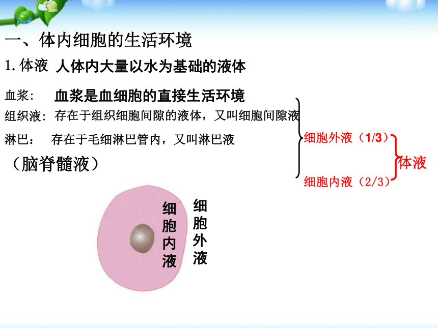 高中生物人教版必修三 第一章第一节细胞生活的环境 课件 (22)