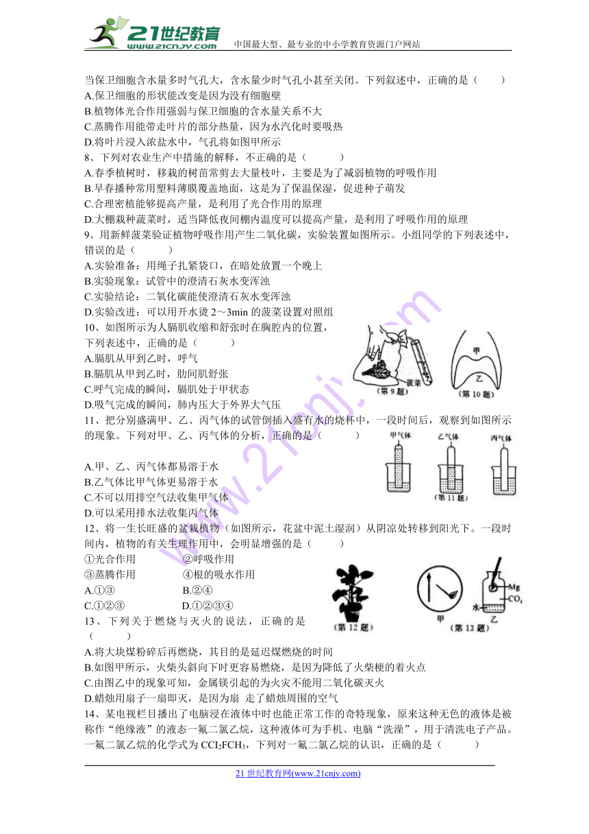 浙教版科学八下期末全真模拟卷（有答案  期末专项）