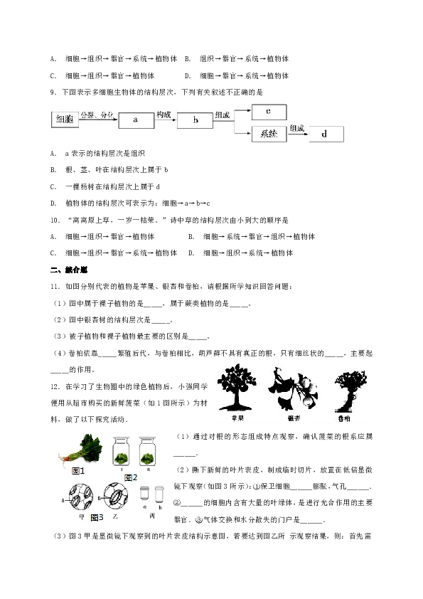 2.2.3 植物体的结构层次 同步练习（含答案）