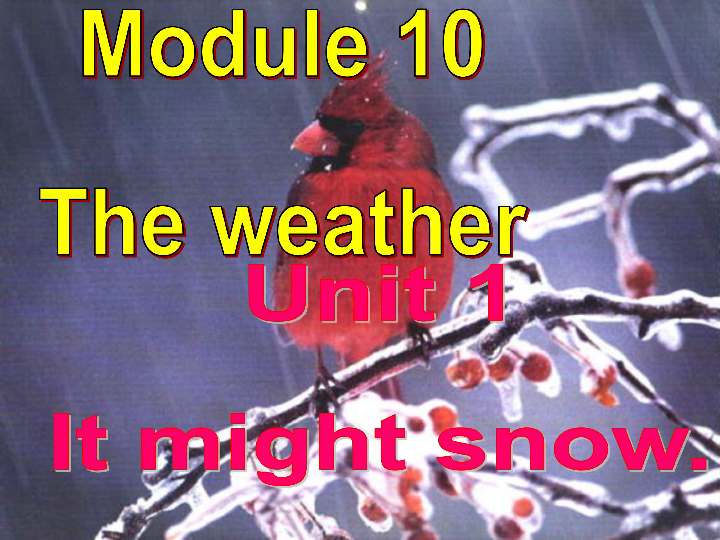 Module 10 The weather Unit 1 It might snow. (共33张PPT无音视频)