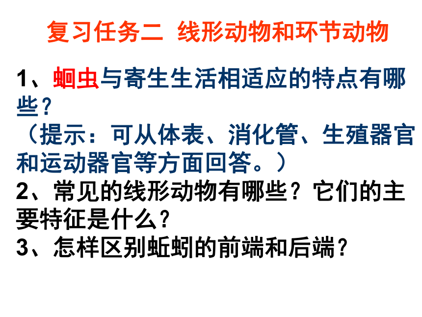 人教版八年级上册生物第五单元第1章动物的主要类群复习课件 （共22张PPT）