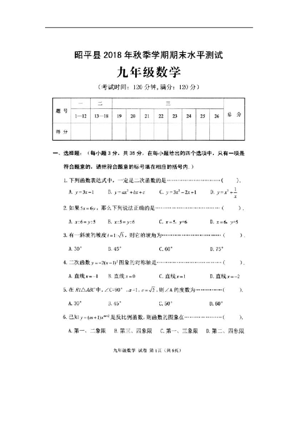 广西昭平县2018-2019学年九年级上学期期末考试数学试题（扫描版，含答案）