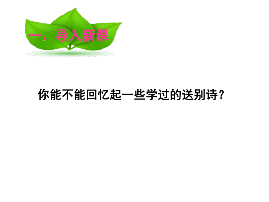 北师大版六年级下册1 乐趣古诗二首 课件 (共29张PPT)