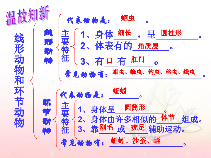 第五单元第一章第三节软体动物和节肢动物课件45张