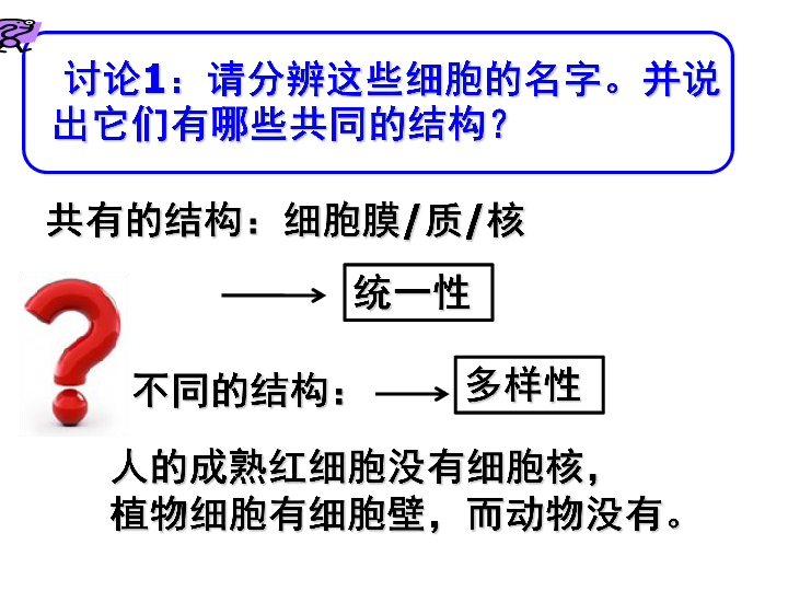 人教版高中生物必修一1.2.2-细胞的多样性和统一性(共43张PPT)