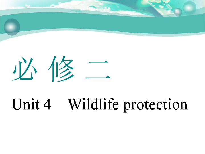 Unit 4　Wildlife protection 一轮复习课件（75张）
