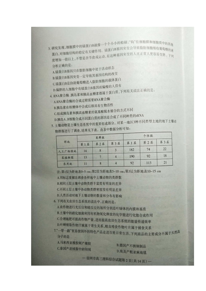 安徽省宿州市2018届高三上学期第一次教学质量检测理科综合试题 扫描版含答案