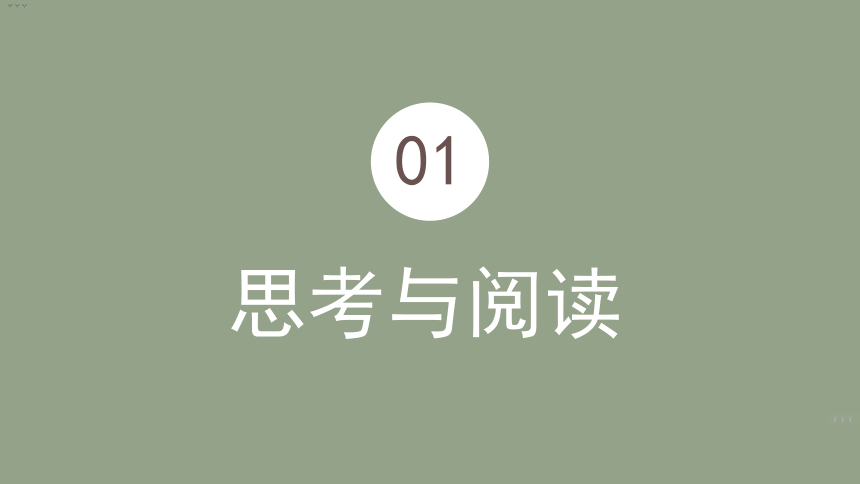 教科版（2017秋）三年级下册科学课件 2.3蚕长大了（课件29ppt）