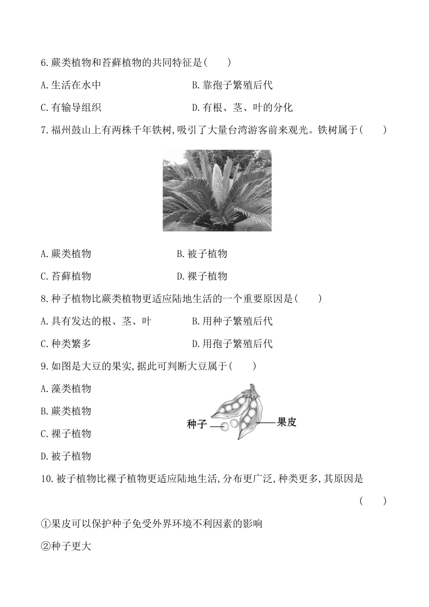 第一节 绿色植物的主要类群 同步课时达标练习（解析版）