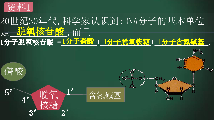 高中生物人教版必修二3．2 DNA分子的结构（26张PPT）