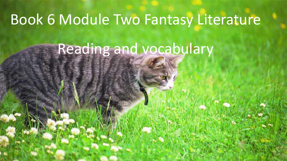 Module 2 Fantasy Literature – Philip Pullman vocabulary 课件(22张PPT)
