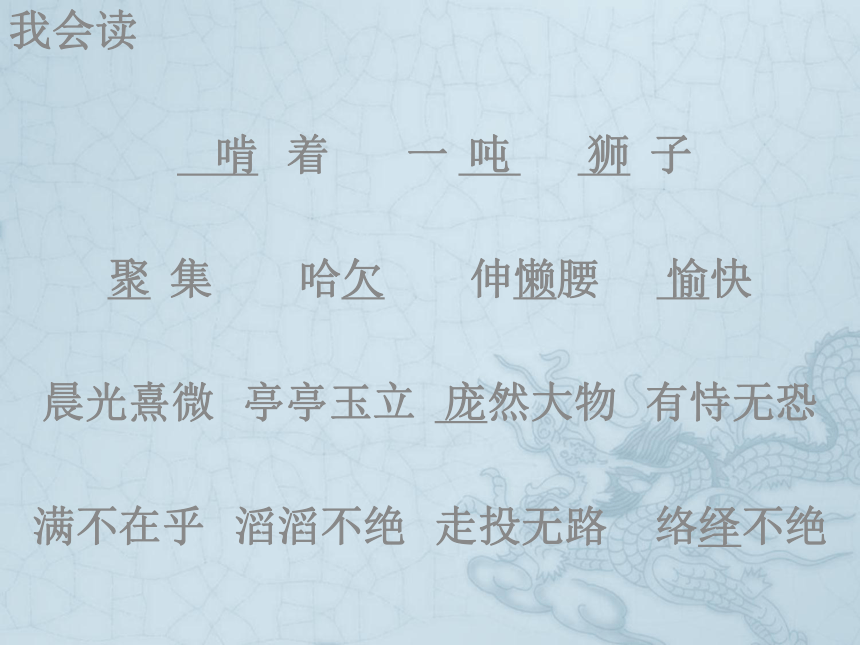 游天然动物园  课件(共25张PPT)