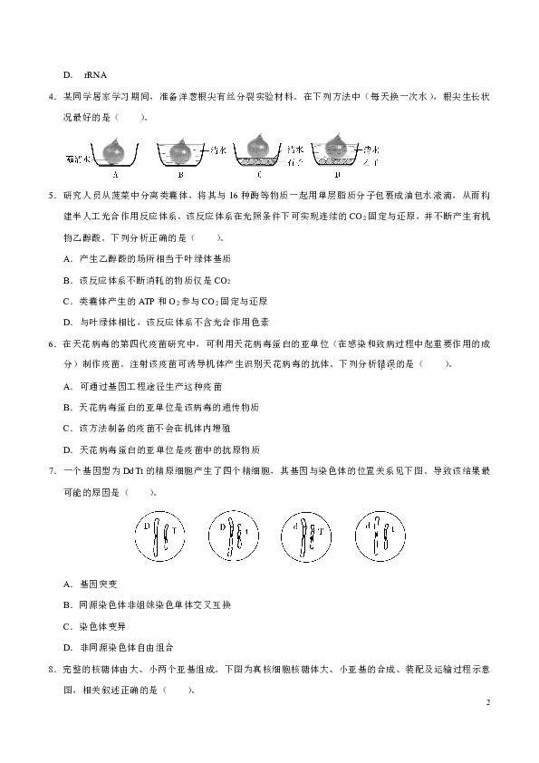 2020年天津卷生物高考试题文档版（含答案）