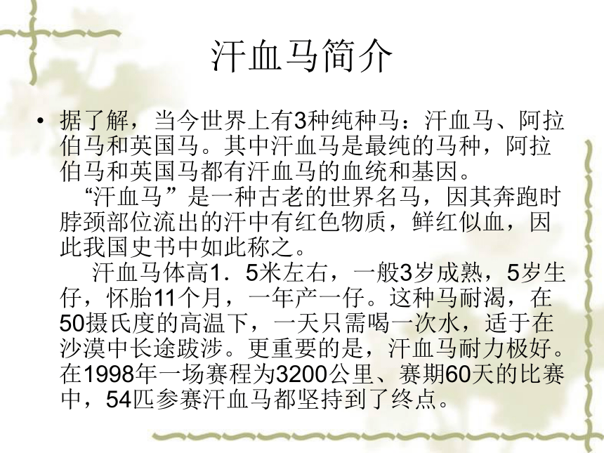 汗血马 课件