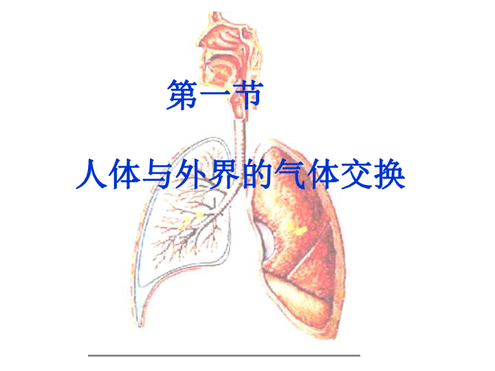 济南版七下生物 2.1人体与外界的气体交换 课件（17张ppt）