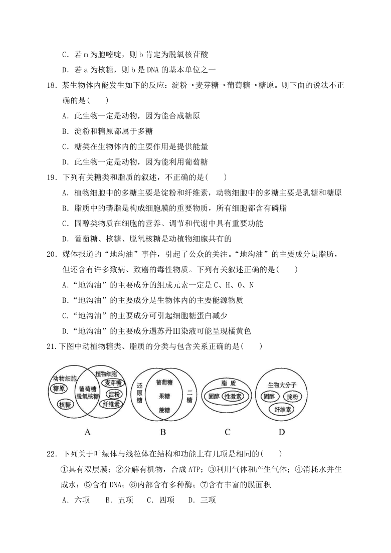 贵州省毕节实验高中2020-2021学年高一上学期期中考试生物试题  含答案