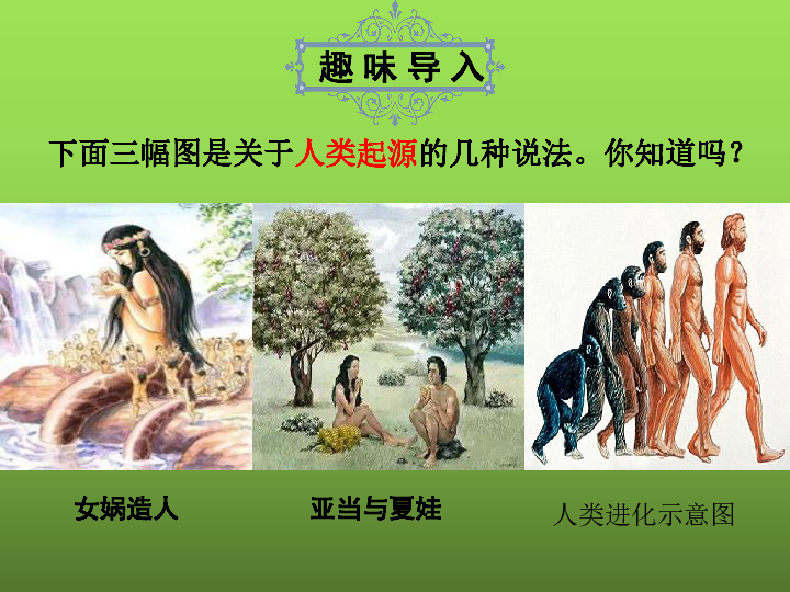 第1课 中国境内早期人类的代表——北京人 课件(共29张PPT)