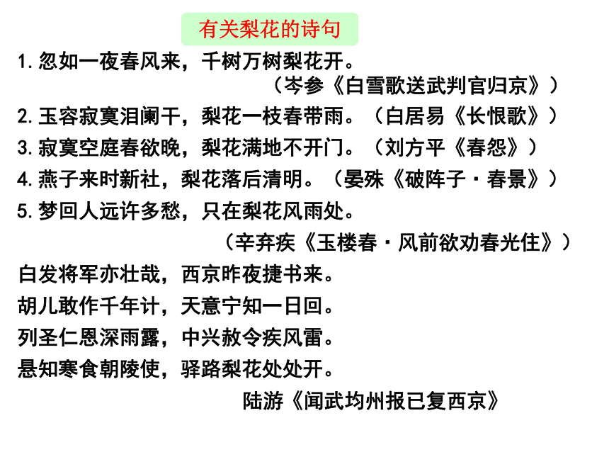 人教版七年级下册（2016部编版）第14课《驿路梨花》课件 (共34张PPT)