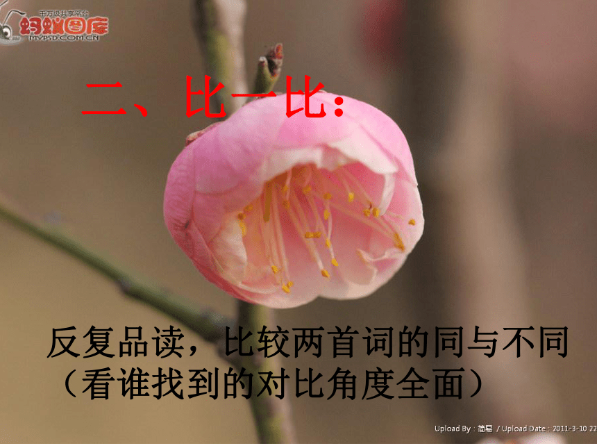 《诗两首》课件