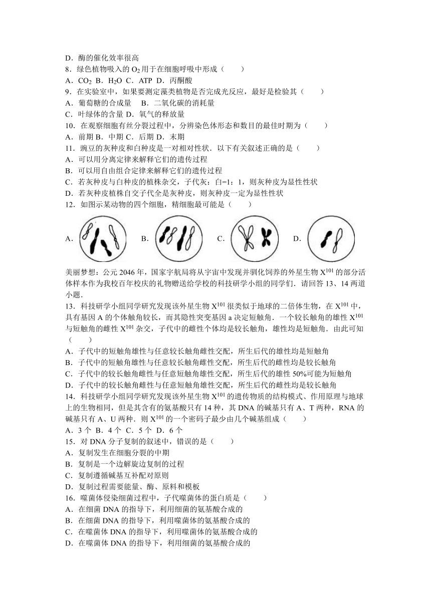 北京市101中学2015-2016学年下学期高二（下）期末生物试卷（解析版）