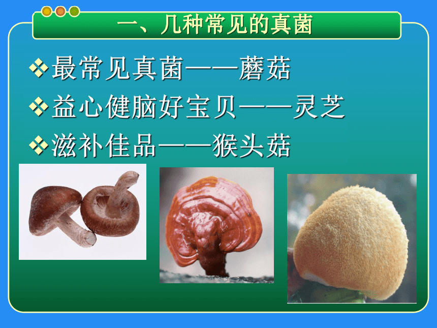 湘教版（2001）五年级下册科学课件-3.4 微生物的功与过（课件17张ppt）