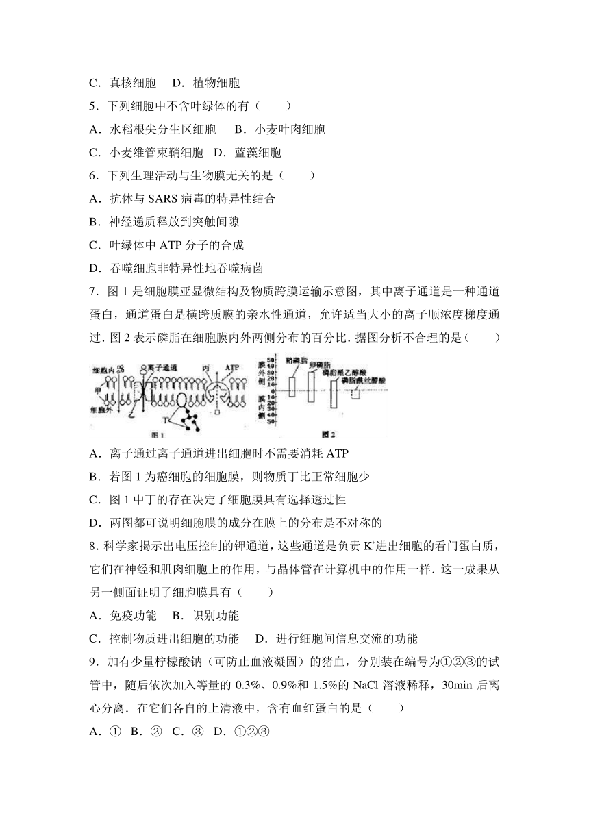 广西钦州市钦州港区2016-2017学年高一（上）期中生物试卷（解析版）