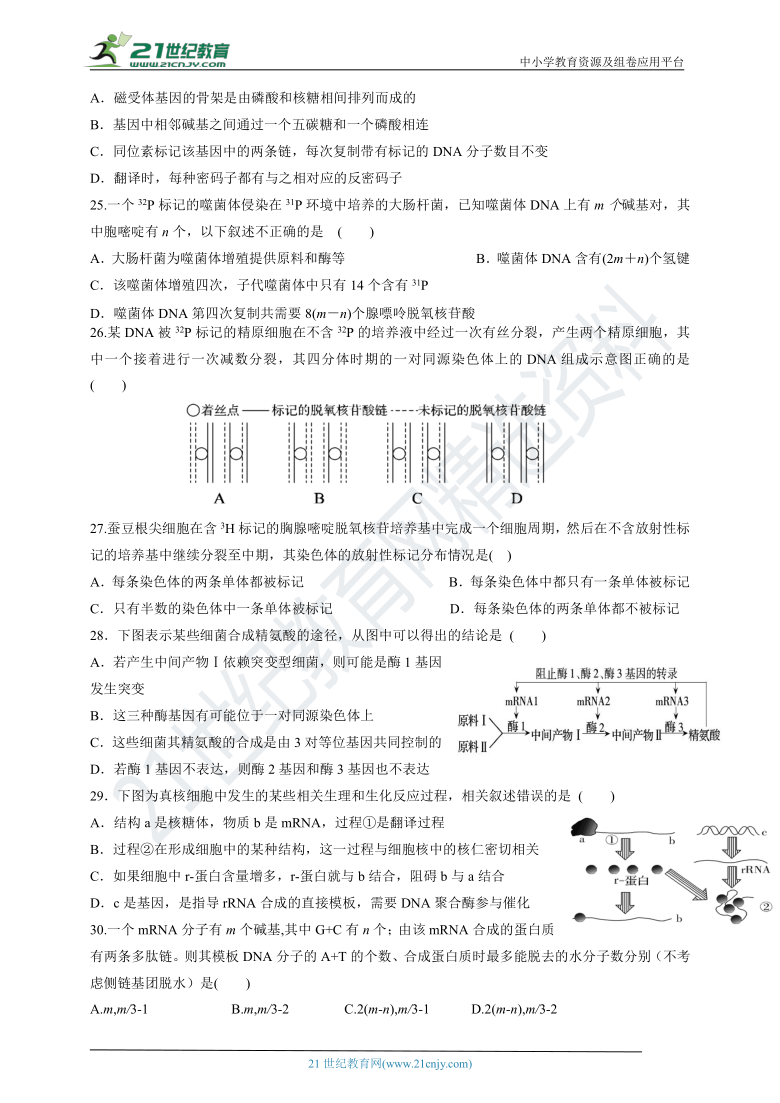 2021届高三上期生物周练习8及答案